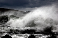 13_DSC_0305.jpg 13_DSC_0305.jpg
