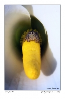 Nome File=atupertuweb.jpg
Dimensione File=235KB
Dimensioni=533x800
Data aggiunta=Gen 06, 2009 atupertuweb.jpg