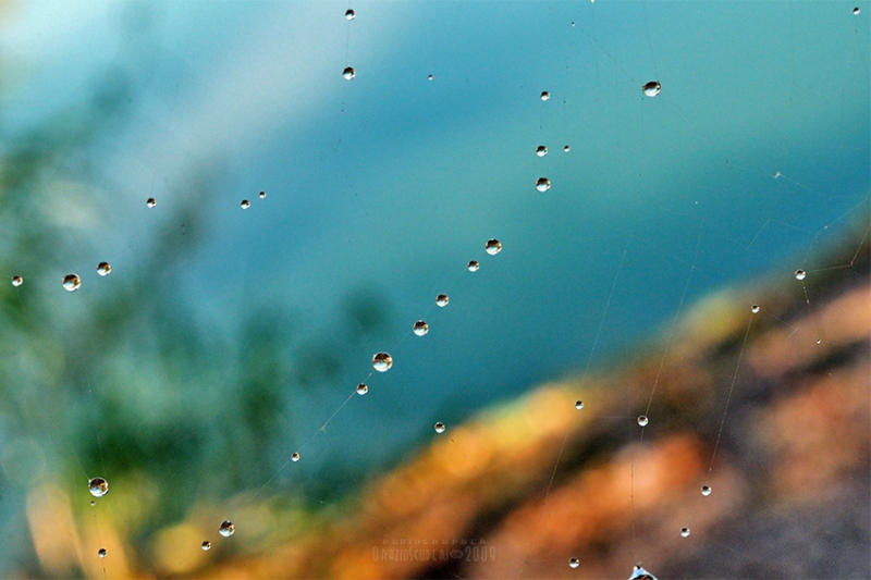 Clicca per l'immagine full size