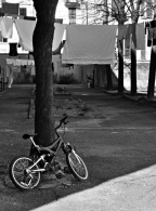 dsc_0055_copia.jpg dsc_0055_copia.jpg