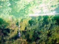 acqua_11_verde.jpg