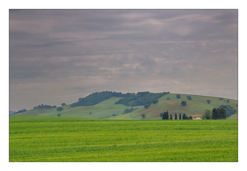 Clicca per l'immagine full size