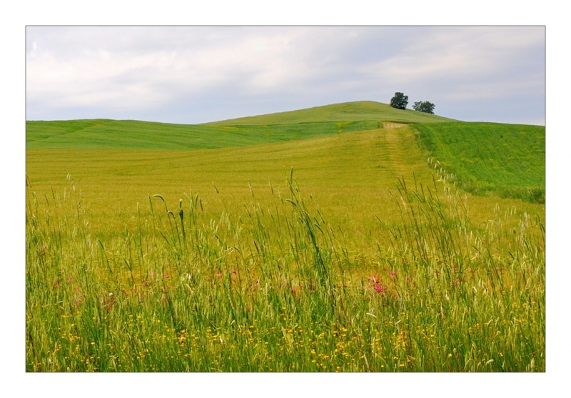 Clicca per l'immagine full size