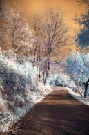 Nome File=Infrared_3.jpg
Dimensione File=353KB
Dimensioni=398x600
Data aggiunta=Ott 20, 2009 Infrared_3.jpg