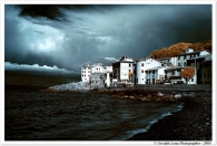Infrared_8.jpg
