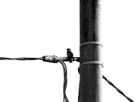 Nome File=Passerotto.jpg
Dimensione File=265KB
Dimensioni=1024x768
Data aggiunta=Mar 21, 2009 Passerotto.jpg