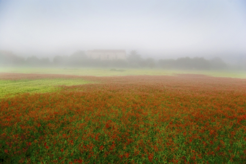 Clicca per l'immagine full size