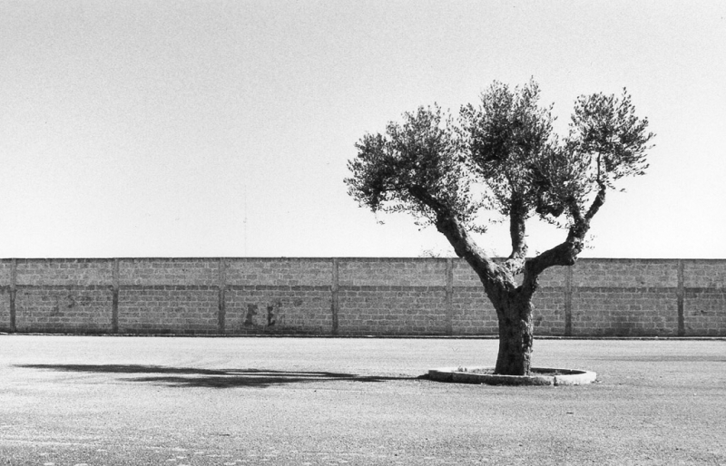 Clicca per l'immagine full size