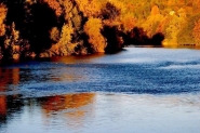 IMG_4014.jpeg