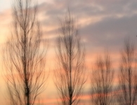 RSCN8283-1small_filtered.jpg