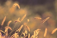 astratto3_filteredsmall.JPG astratto3_filteredsmall.JPG