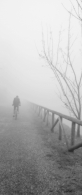 digital_image_034_JPG_biker_fog_rid.jpg