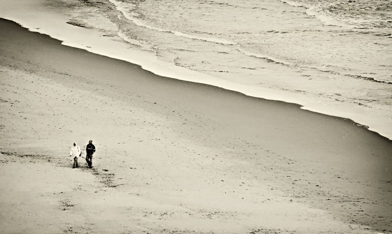 Clicca per l'immagine full size