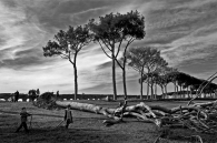 morte-del-gigante-2.jpg morte-del-gigante-2.jpg