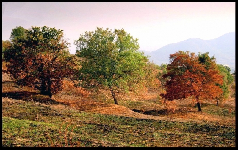 Clicca per l'immagine full size