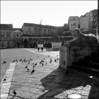 Dettagli_urbani.jpg Dettagli_urbani.jpg