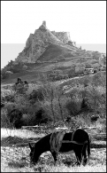 L_asino-e-il-castello.jpg L_asino-e-il-castello.jpg