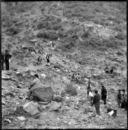 foto211r.jpg foto211r.jpg