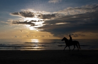 cavalcata_al_tramonto.jpg cavalcata_al_tramonto.jpg