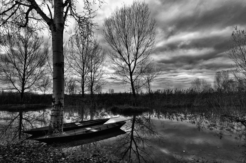 Clicca per l'immagine full size