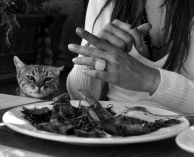 gatto_bn.jpg