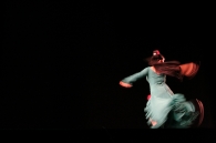 Nome File=danza.jpg
Dimensione File=225KB
Dimensioni=800x533
Data aggiunta=Apr 13, 2009 danza.jpg