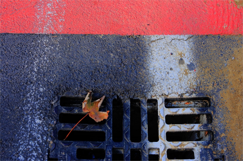 Clicca per l'immagine full size