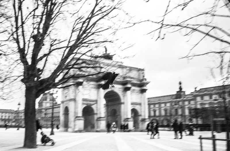 Clicca per l'immagine full size