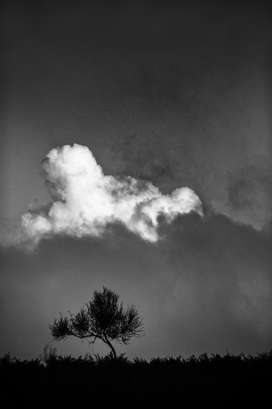 Clicca per l'immagine full size