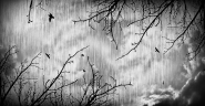 Nome File=the_life_rid.jpg
Dimensione File=452KB
Dimensioni=1024x535
Data aggiunta=Mar 06, 2013 the_life_rid.jpg