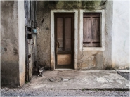 Nome File=Il_gatto.jpg
Dimensione File=153KB
Dimensioni=1000x750
Data aggiunta=Mag 19, 2014 Il_gatto.jpg