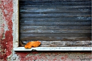 Nome File=i-colori-dell_-autunno.jpg
Dimensione File=292KB
Dimensioni=1199x800
Data aggiunta=Ott 05, 2012 i-colori-dell_-autunno.jpg