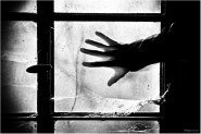 Filename=psichadelyc-window.jpg
Filesize=119KB
Dimensions=800x534
Date added=May 08, 2012 psichadelyc-window.jpg