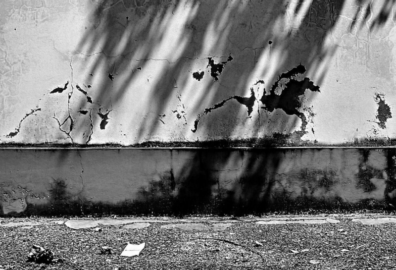 Clicca per l'immagine full size