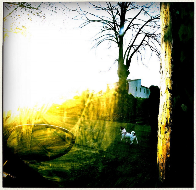 Clicca per l'immagine full size