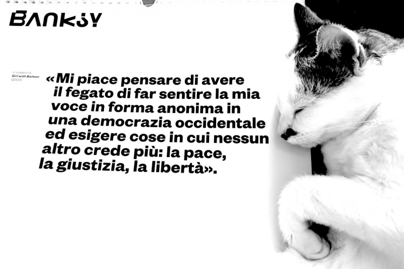 Clicca per l'immagine full size