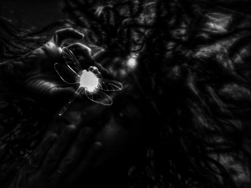 Clicca per l'immagine full size