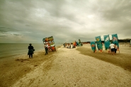 DSC_7531pc25_mm.jpg