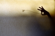 Nome File=colibrì.jpg
Dimensione File=448KB
Dimensioni=1200x800
Data aggiunta=Giu 25, 2016 colibrì.jpg