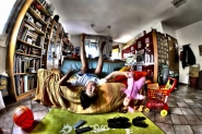 Filename=i_hate_toys_mm.jpg
Filesize=323KB
Dimensions=1200x803
Date added=Jul 06, 2012 i_hate_toys_mm.jpg
