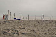 marinaromea_aprile2015_DSC5254.JPG marinaromea_aprile2015_DSC5254.JPG