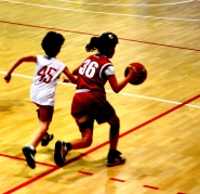matildeDSC0390.jpg matildeDSC0390.jpg