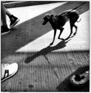 Filename=ministreet-pola.jpg
Filesize=231KB
Dimensions=1170x1200
Date added=Aug 27, 2019 ministreet-pola.jpg