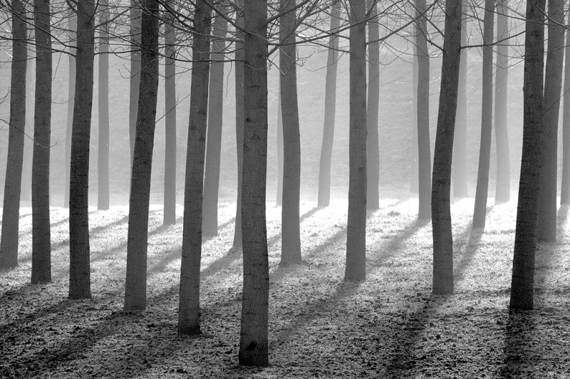 Clicca per l'immagine full size