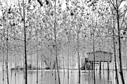 Nome File=PB040019-1_copia_modificato-1.jpg
Dimensione File=473KB
Dimensioni=1024x680
Data aggiunta=Dic 21, 2011 PB040019-1_copia_modificato-1.jpg