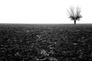 Nome File=Terra_d_autunno-001.jpg
Dimensione File=219KB
Dimensioni=1024x685
Data aggiunta=Dic 03, 2012 Terra_d_autunno-001.jpg