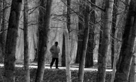Nome File=passeggiata.jpg
Dimensione File=209KB
Dimensioni=800x487
Data aggiunta=Ago 20, 2009 passeggiata.jpg