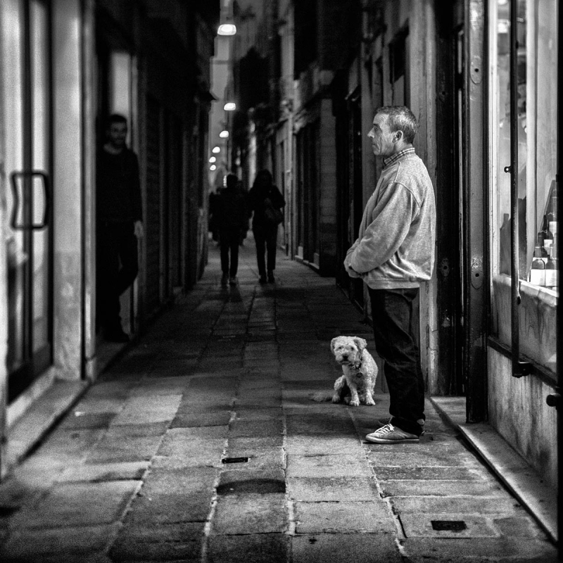 Clicca per l'immagine full size