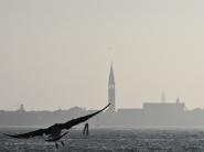 20111118-PB187664.jpg