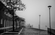 DSCF5281-MM.jpg